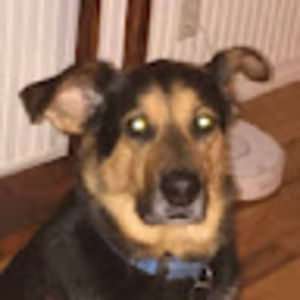 Meet your Posher, Marina